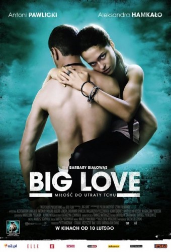 Большая любовь / Big Love (2012) онлайн